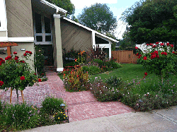 Complex landscaping thriving thanks to our San Jose sprinkler repair team